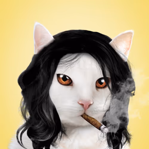 Kishosclubwtf