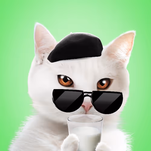 Kishosclubwtf