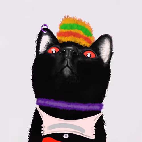 Blackcat 3