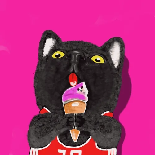 Blackcat 3