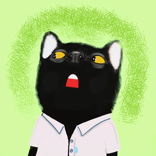 Blackcat 3