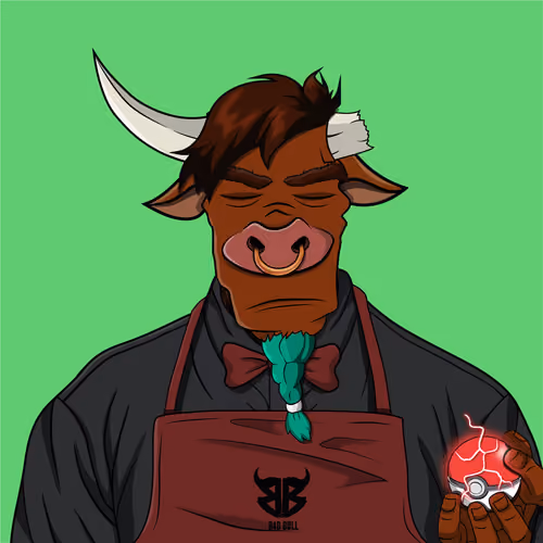 B4D BULL #167