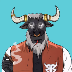 B4D BULL #19