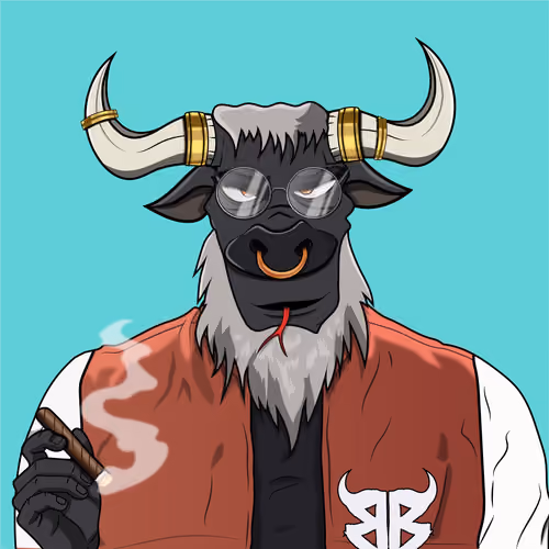 B4D BULL #19