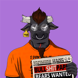 B4D BULL #193