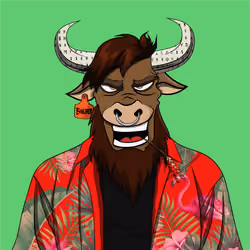 B4D BULL #516