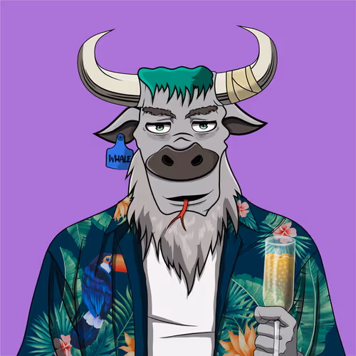 B4d Bull