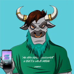 B4D BULL #385