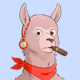 Llamas #19