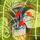 80