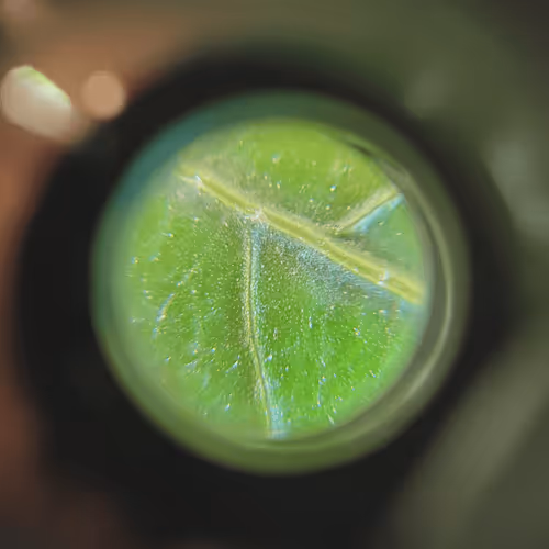 Leaf under a lens