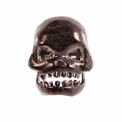 Skull #227