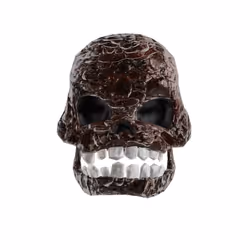 Skull #25
