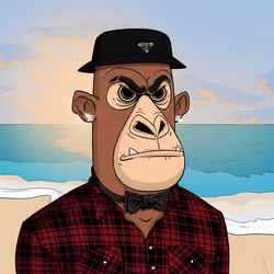 Angry Apes United #7622