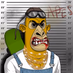 Angry Apes United #1769