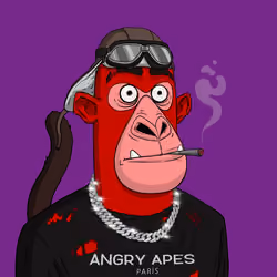 Angry Apes United #7037