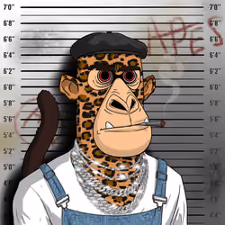 Angry Apes United #6881