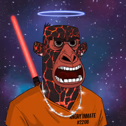 Angry Apes United #5072