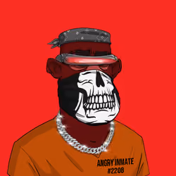 Angry Apes United #1107