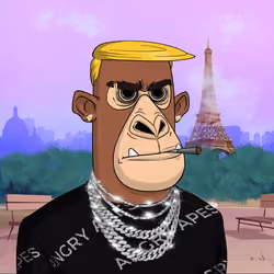 Angry Apes United #2664