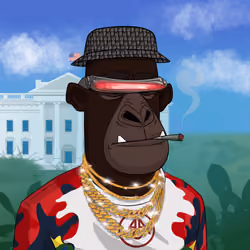Angry Apes United #3124