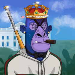 Angry Apes United #7230