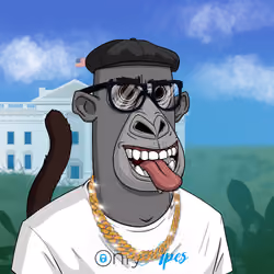 Angry Apes United #3590
