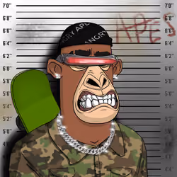 Angry Apes United #6577