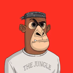 Angry Apes United #676