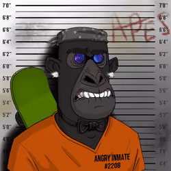 Angry Apes United #8816