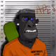 8816