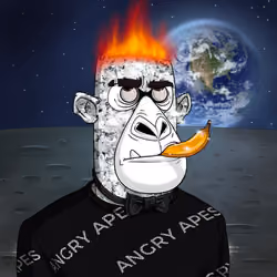Angry Apes United #2816