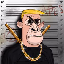Angry Apes United #372