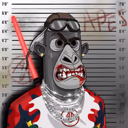 Angry Apes United #7646