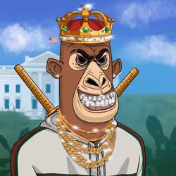 Angry Apes United #8420