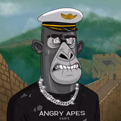 Angry Apes United #6392