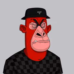 Angry Apes United #5577