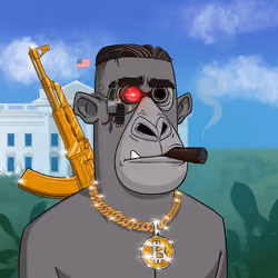 Angry Apes United #4056