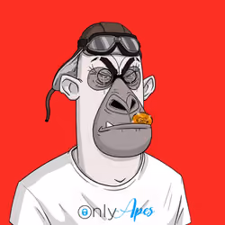 Angry Apes United #6365