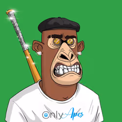 Angry Apes United #2537