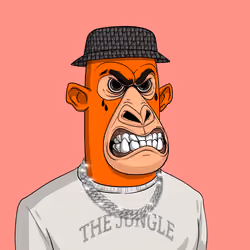 Angry Apes United #6681
