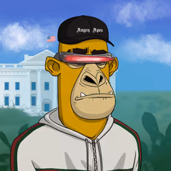 Angry Apes United #3616