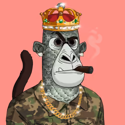 Angry Apes United #7960