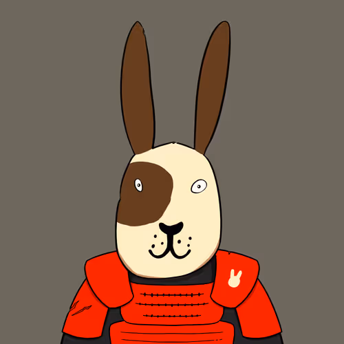 Patch Rabbitz