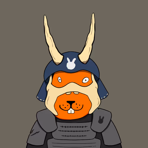 Patch Rabbitz