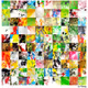 Project-4-2-sai-2012 #20/30