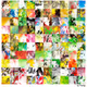 Project-4-2-sai-2012 #11/30