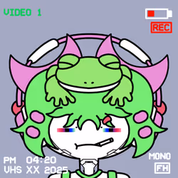 Frog Heads #3140