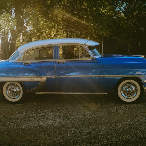 The Family Car
