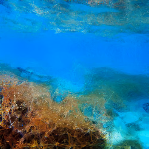 Machine Hallucinations — Coral — Emergence #61